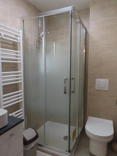 a bathroom with a shower and a toilet at Chambre deux lits séparés in Bondy
