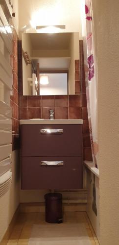 une salle de bain avec un lavabo et un miroir dans l'établissement T2 Saint-Lary-Soulan- Vielle Aure, à Vielle-Aure