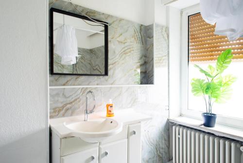 a bathroom with a sink and a mirror at Stay & Work Apartment Rheine in Rheine