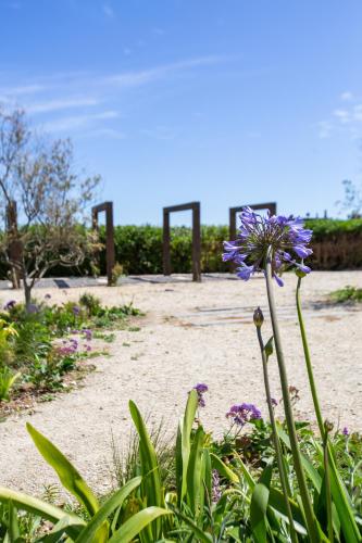 Gallery image of Refugio Lobos in Pichilemu