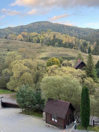 a small cabin in the middle of a hill with trees at Georgiy in Oryavchyk