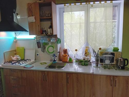 a kitchen with a counter with a sink and a window at Ruska's Guesthouse in Kveda-Bashi