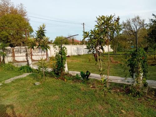 a garden with a fence and trees in a yard at Ruska's Guesthouse in Kveda-Bashi