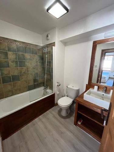 une salle de bain avec toilettes, baignoire et lavabo dans l'établissement Luxueux T2 en centre ville, à Saint-Lary-Soulan