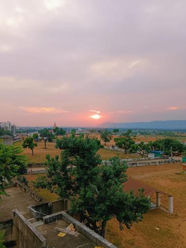 a sunset view of a field with a tree at Hotel Moon Light in Pushkar