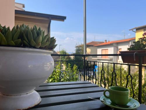 a plant in a pot sitting on a table with a coffee cup at Da' mi' nonni in Pistoia