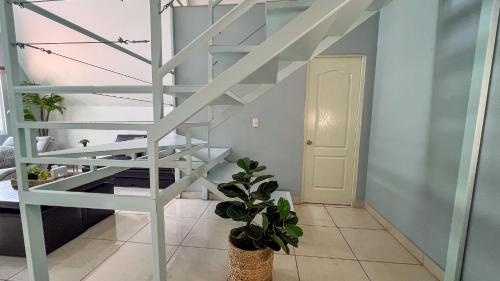 a white staircase in a room with a potted plant at VILLAS EL ENCANTO in Jalpan