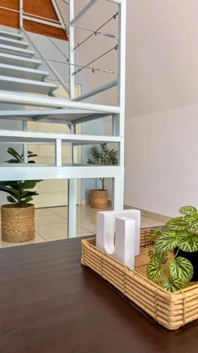 a room with a staircase and a wicker basket with plants at VILLAS EL ENCANTO in Jalpan