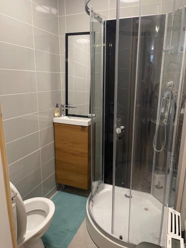 une salle de bain avec douche et toilettes dans l'établissement studio 28m, à Saint-Claude