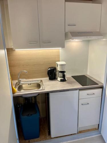 Il comprend une petite cuisine avec un évier et une cafetière. dans l'établissement Le Studio des Marmottons, cœur de village, à Bonne