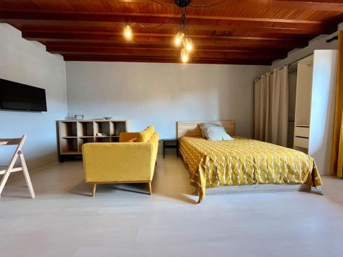 une chambre avec un lit, une chaise et une télévision dans l'établissement Le Studio des Marmottons, cœur de village, à Bonne