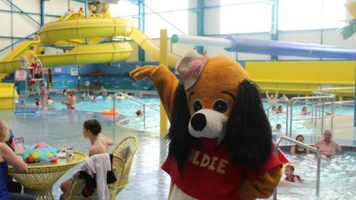 a mascot in a pool with people in the water at PG69 Golden Palm 8 Berth Caravan with Decking in Chapel Saint Leonards