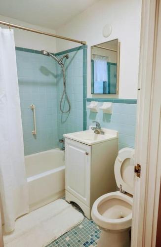 a bathroom with a toilet and a sink and a shower at Spring Street Retreat in St. Augustine