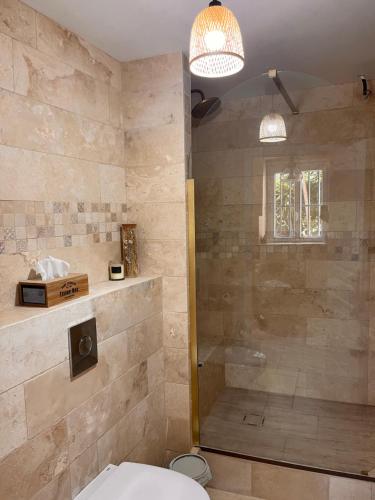 une salle de bain avec douche et toilettes dans l'établissement Villa vacances les 3 Restanques, à Ollioules