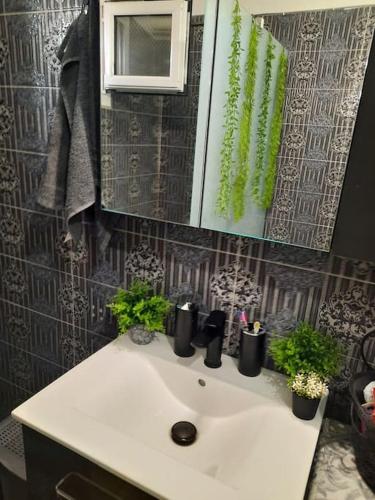 a bathroom sink with plants on top of it at Tania's house in Tríkala