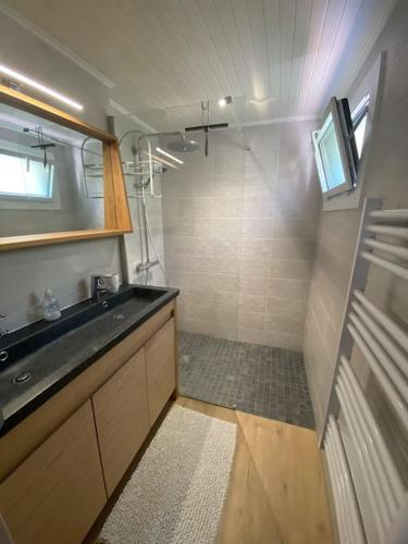 une petite salle de bain avec un lavabo et une douche dans l'établissement Maison familiale dans les pins à 500m de la plage, à Saint-Jean-de-Monts
