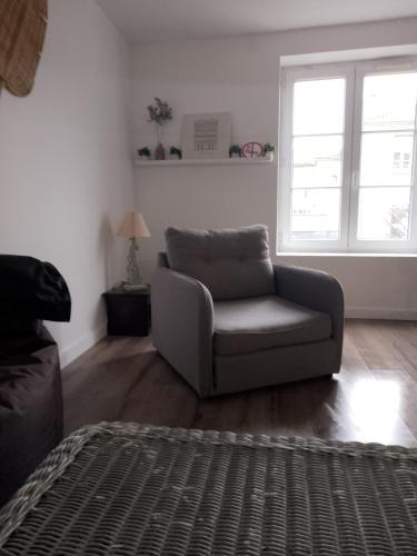 un salon avec un canapé et une chaise dans l'établissement Le grand plein centre, à Montbrison