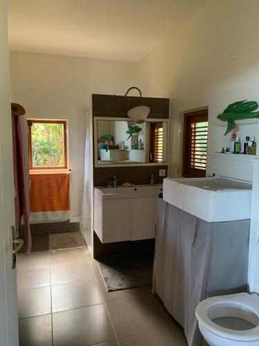 a bathroom with a sink and a toilet in it at villa Kabri terre de bas in Terre-de-Bas
