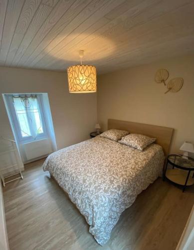 Un dormitorio con una cama y una ventana y una lámpara. en Chez Pascal Sissi -Au Coeur de Vignes, parking free, en Châteauthébaud