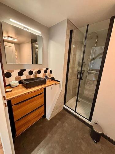 une salle de bain avec un lavabo et une douche dans l'établissement Appartement, à Vesoul