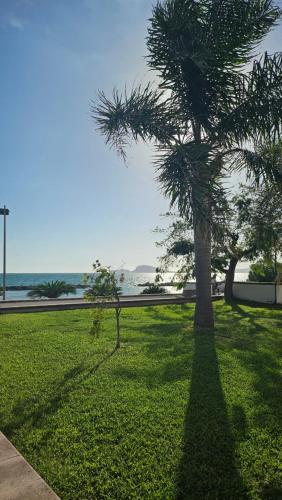 a palm tree in a park with the ocean in the background at Gliù Vico in Formia