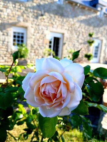 Un jardín fuera de gîte en campagne Lamégritnière