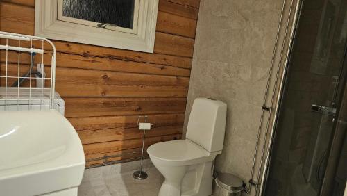 a bathroom with a toilet and a sink at Ammeråns Fiskecamp in Hammarstrand