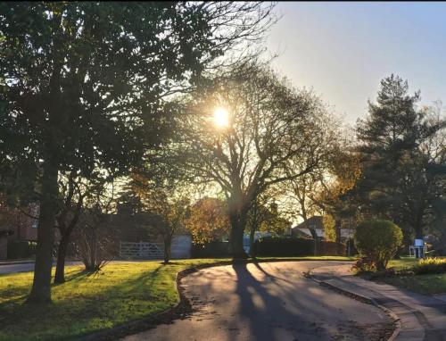 a sun shining through a tree on a street at Greens Norton getaway in Towcester