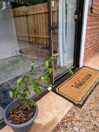 a plant in a pot sitting in front of a door at Tony's Tiny Home in Griffith