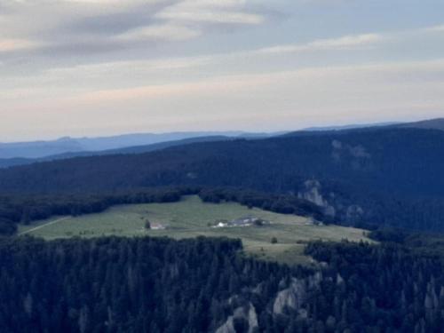 an aerial view of a field in the middle of a forest at Studio cosy ambiance vosgienne à 20 mn de Gerardmer in Lépanges-sur-Vologne