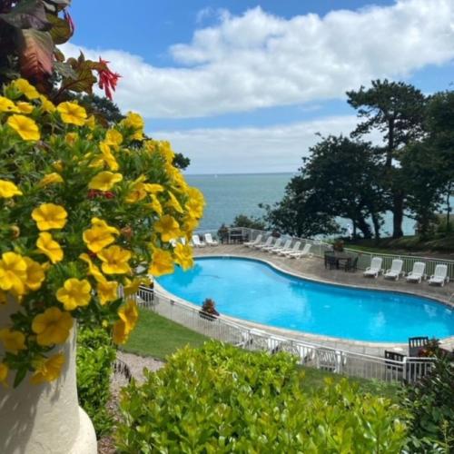 a vase with yellow flowers next to a swimming pool at The Osborne Hotel in Torquay