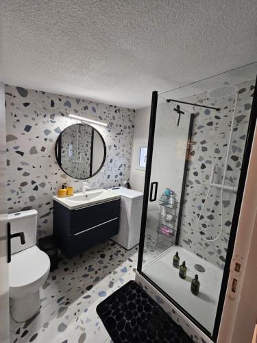 une salle de bain avec une douche, des toilettes et un lavabo dans l'établissement Appartement proche des Halles, à Narbonne