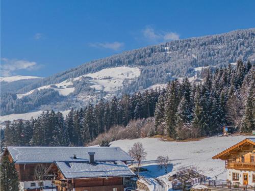 a ski lodge in the snow with a mountain at Premium Apartment Edelweiß in Hollersbach im Pinzgau