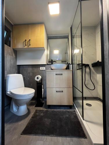 Koupelna v ubytování Tiny Bran