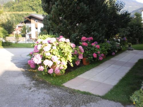 a bunch of flowers on the side of a sidewalk at Haus Schönleiten in Wagrain