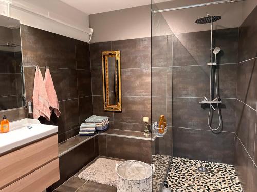 une salle de bain avec douche et lavabo dans l'établissement Chic Béziers Town House, à Béziers