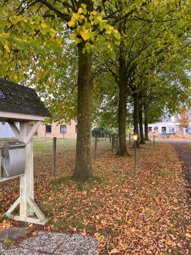 a park with trees and leaves on the ground at Wohnen im ehemaligen Kuhstall Stiehler Farm in Treia