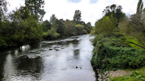 a river with trees on the side of it at die Villa, Zimmer 24, DZ in Leverkusen