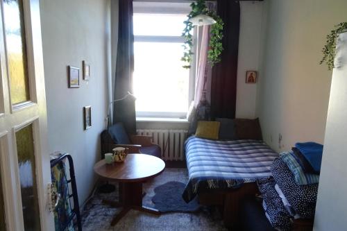 Ένα ή περισσότερα κρεβάτια σε δωμάτιο στο Studija virš cukrainės Druskininkuose