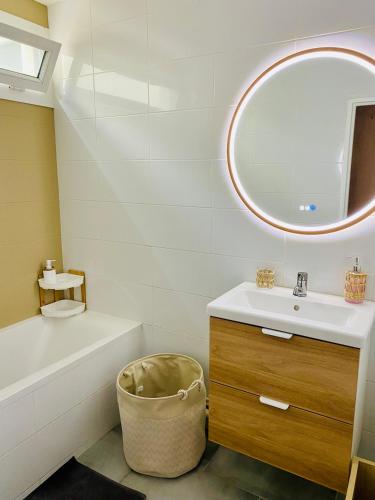 une salle de bain avec un lavabo et un miroir dans l'établissement Fridhome Jacuzzi Parking Wifi Fibre 2MIN Tram, à Bruges