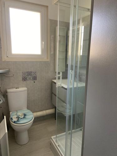 une salle de bain avec toilettes et douche en verre dans l'établissement Studio 300m de la plage, à Royan