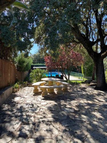 a group of yellow picnic tables under a tree at Quinta El Escorial in El Escorial