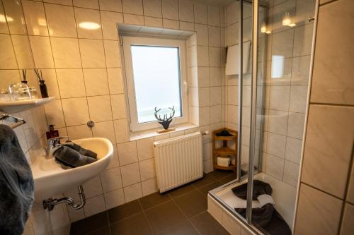 a bathroom with a sink and a glass shower at Tiroler Alpblick Appartements in Ehrwald