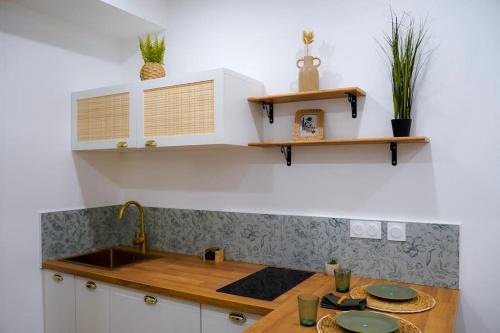 une cuisine avec un évier et un plan de travail dans l'établissement Le Verger des Papes, à Avignon