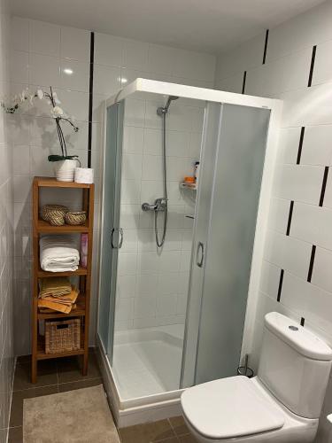 a bathroom with a shower with a toilet and a sink at La Villa de Herce in Herce