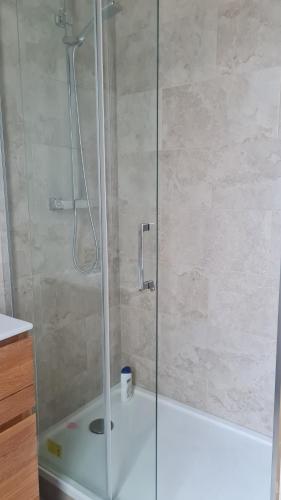 une douche avec une porte vitrée dans une salle de bain dans l'établissement Appartement 2 chambres, de luxe, à 50 m de la plage, à Cannes
