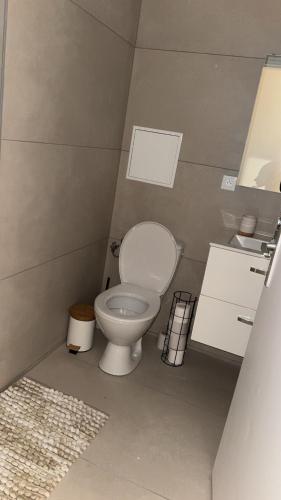 une petite salle de bain avec toilettes et lavabo dans l'établissement Le sept, à Colmar