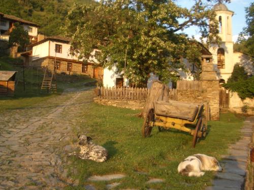 two dogs laying in the grass next to a wooden cart at Leshten Eco Villas in Leshten