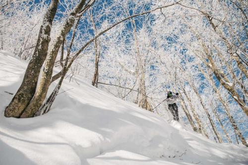 a person is skiing down a snow covered slope at Splendid Mountain View Condo with Pool & BBQ- Ski, MTB, Cycling, Golf, Telework! in Bromont