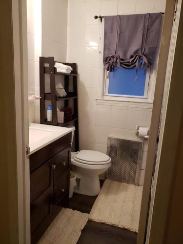 a bathroom with a toilet and a sink and a window at Beautiful C&C in Elmont
